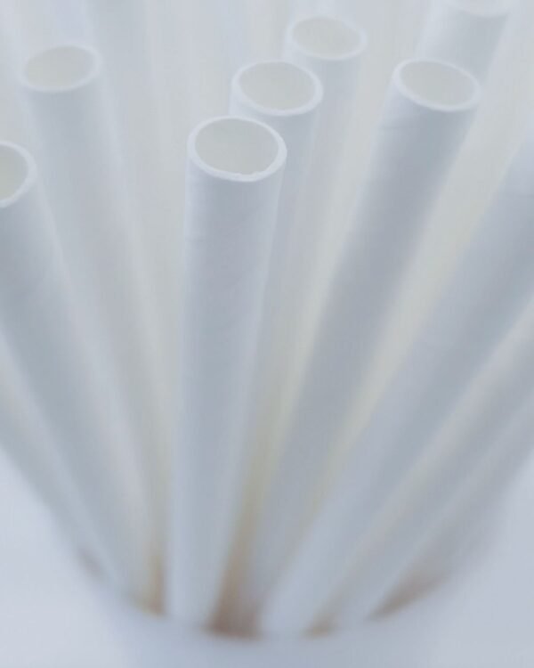 Canudo de papel eco.bio Suco Vitamina Refrigerante Milk Shake