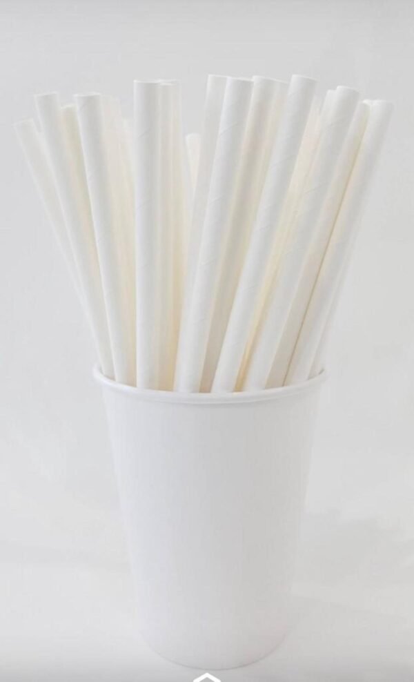Copo De Papel 300ml Biodegradável e Reciclável